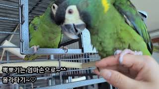 엄마손장난하며 놀기~~^^♡