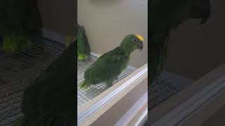 아빠를 기다리는 아기 수리