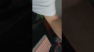 @앵무새. 한스마카우. 이름: 지루비. 13세. 2013년 9월 12일 우리 집에 왔어요.