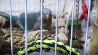 썬코뉴어 퀘이커 일상