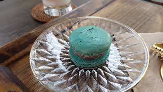 서이vlog :) 금강하구둑 홍굴이짬뽕먹고 군산나들이하…