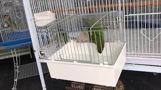 목욕중인 코뉴어둥이들~