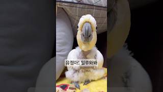 이 영상의 포인트는 화면 밖에 있습니다 