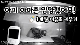 4주 된, 아기 아마존 '마로' 입양 첫 날‼