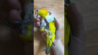 #카이큐 이집 손톱 맛집 ㅋ