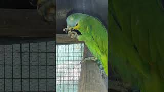 울 아마존C 금일 메뉴 잣 땅콩 냉동산딸기 동부콩