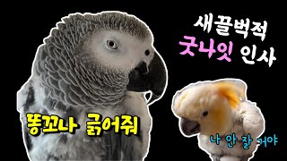 굿나잇 인사도 시끄러운 우리집 
