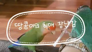 땅콩이 최애 장난감:  욕심쟁이 코뉴어 땅콩이의 빨대 …