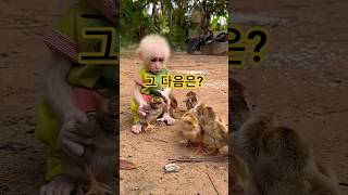 아기 앵무새 씽크대 워터파크 개장 드라이어 훈련  #놀았으면 #샤워 #드라잉