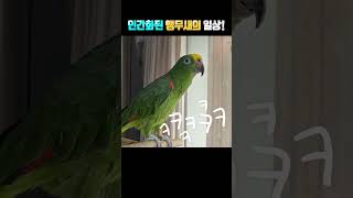 사람끼리의 대화인줄~~ㅎㅎ