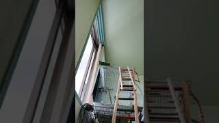 자기 나름대로 열심히 뽀뽀뽀 부르지만 아는 말만 하는 …