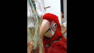 홍금강 홍금이에요...