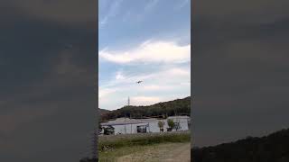 할리퀸 마카우 루카가 산책하는법