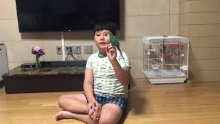 [네이쳐 Lee콜스] 앵무새 코뉴어 키우기 (편집후 다시올리겠습니다)