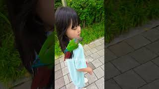 앵무새가 날아가면 어떻하지?