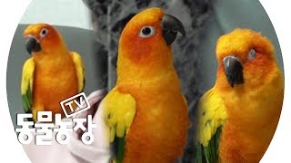 태양은 사랑을 싣고♥ 이제는 스윗한 버드가 된 ‘태양이…