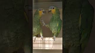 나눠 먹길 싫어 하는 욕심 쟁이 아마존C