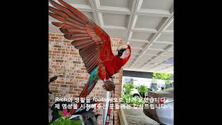 Footage of the my Green wing m…