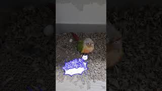 가슴이 아려요,  그 마음 알아서...