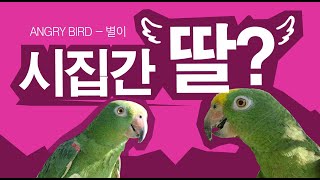 막말 수다 VS 노래?/ 행복해 보이지만 섭섭한 아빠의…