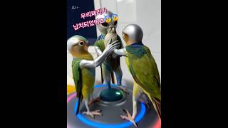 앵무새 페리 납치사건  #귀여운앵무새 #parrot #반려조일상 #birdmukbang #birds #conureparrot #cuteparrots
