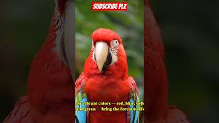 The Weird Story Behind Macaws parrot , When Did Macaws parrot  Get So Famous?#animals 