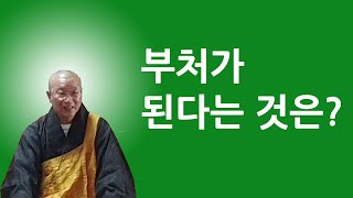 부처가 된다는 것은
