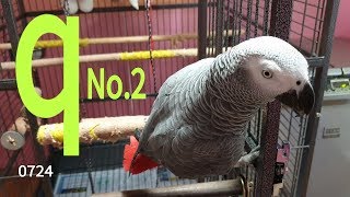 [연구대상]:똘이에게 레디~&quot;큐&quot;를 …