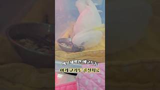 아기코카투 다리골절 치료기❤️ #에코특수동물병원 #앵무새병원 #앵무새골절