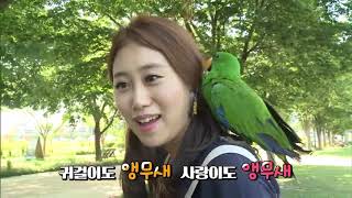 울산  태화강  홍금강  아롱이