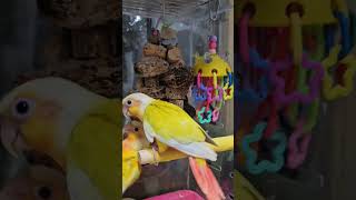 내가 안밀었어요 응!! 알아 아가ㅎㅎ         #…