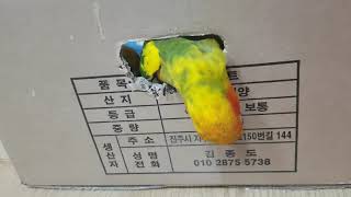 썬코뉴어 바깥구경