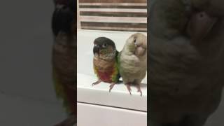 코뉴어들 목욕탕에서^^