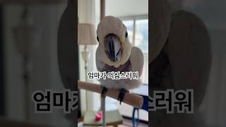 이제 발톱 깎을 차례ㅋㅋㅋㅋ