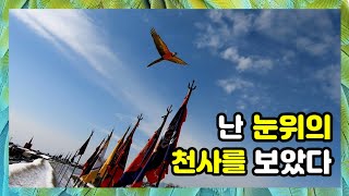 난 눈위에 천사를 보았다~  눈부시게 푸른하늘에서 날다가 내려오는 앵무새가 천사로 보였어요