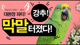 간만에 터진 막말  / 앵무새의 언어 능력은 어디까지인…