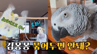 루이에게 동생들을 맡기고 잠시 자리를 비웠는데... / 사고몽치 때문에 혈압 오르는 김루이