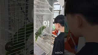 고강윤 대 앵무새 말싸움 #고강윤 #앵무새  #말싸움 #동물 #새