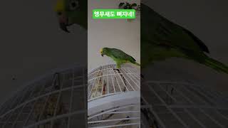 앵무새도 삐지네!