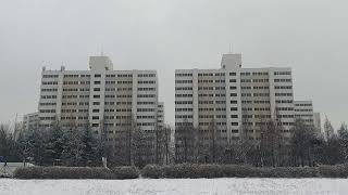 [앵무새 자유비행]  눈 내리는  날  자유비행하기