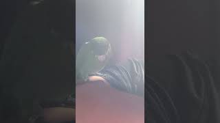 꽁패.나는반딧불.화음넣는 뽀미.앵무새.한스마카우.202…