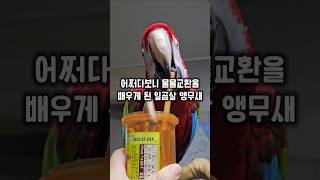 과자 먹으랬더니 물고있던걸 주고 과자하나 가져가는거 실…