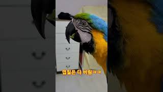 즙 한방울도 버릴 수 없다 #shorts #청금강