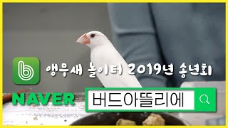 이색체험카페 버드아뜰리에 / 앵무새 놀이터 밴드 송년회…