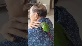 앵무새가  장난하자고하네요