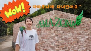 아마조나 방문기#앵무새#아마조나#가평여행#코뉴어#코카투#늘해랑