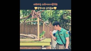 속보⭐️입꾹닫 큰앵이가 드디어 입을 열었어요믿고보는 규식옵빠✨️ #shorts#앵무새#노랑이마아마존앵무#큰앵이