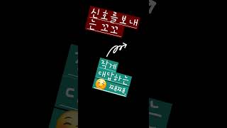 카이큐앵무새  째째와 뭘모르는 꼬꼬의 베틀전