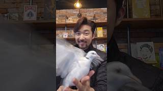 마술사 친구들 bim bap boom boom boom…