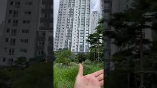 할리퀸 마카우 루카 줄없이  첫비행 할수있을까??